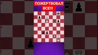 💥ВСЕ ЖЕРТВЫ НЕ НАПРАСНЫ #chesspuzzle #шахматныезадачи #шахматы #chess