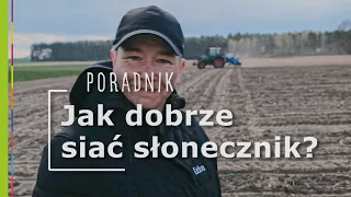 Jak dobrze zasiać słonecznik? Siew słonecznika LIDEA 2022 w Wielkopolsce w okolicach Szamotuł