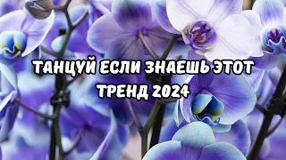 💗ТАНЦУЙ ЕСЛИ ЗНАЕШЬ ЭТОТ ТРЕНД 2024💗