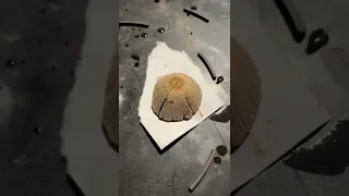 How to make a spore print.