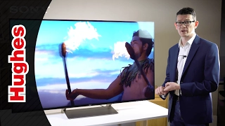 Sony Bravia XE93 4K HDR Premium TV In-Depth Look