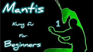 MANTIS KUNG FU FOR BEGINNERS / STEP BY STEP TUTORIAL  / 螳螂拳第一课