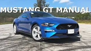 Mustang GT Manual - ES MANUAL!!!!