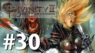 Zagrajmy w Divinity 2: Ego Draconis [#30] Poszukiwacze przygód