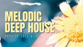 Melodic Deep House Beat - Background Stock Music