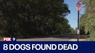 8 dogs found dead on Grey Cloud Island