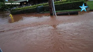 [RAW] Floodwater streams through Haleiwa Road