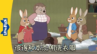 彼得兔和朋友们 - 彼得和本杰明洗衣服 (Peter Rabbit - Peter & Benjamin Wash Clothes) |中文字幕| Classics | Chinese Stories