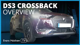 DS 3 CROSSBACK Overview: Walkaround and features | Evans Halshaw TV