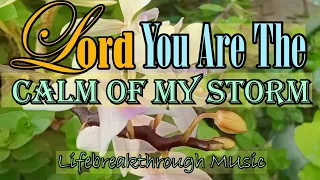 Calm of My Storm/Thank you For Everything That I Have By Lifebreakthrough MUsic