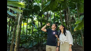 The Daintree Afternoon and Nocturnal Tour