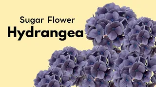 Easy to make Hydrangea Sugar Flowers@melsbundlesofcreation