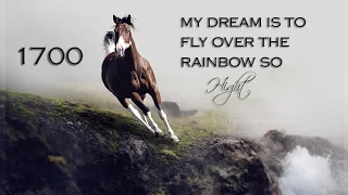 My Dream Is To Fly Over The Rainbow So High {1,700}
