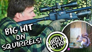 Airgun Action | How to shoot more squirrels with an airgun | Umarex ReadyAir Compressor review