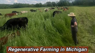 How Regenerative Agriculture Changed Our Farm