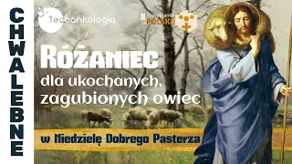 Różaniec Teobańkologia dla ukochanych, zagubionych owiec w Niedzielę Dobrego Pasterza 21.04