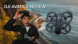 My DJI Avata 2 Fell Out The Sky - FULL REVIEW