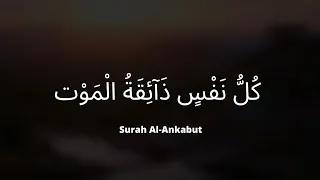 Surah Al-Ankabut | سورۃ العنکبوت | Urdu & English Translation | 56-59 | Abdul Rahman Mosad