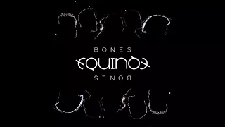 EQUINOX - Bones (Acapella - Vocals Only)