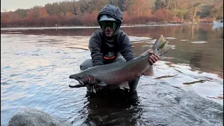 Great Day - Steelhead Fishing American River | Suns Out, Steelhead Out!