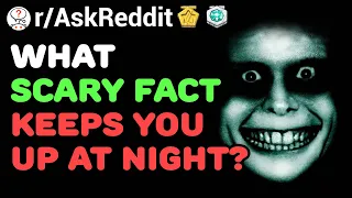 Scary Facts That Keep You Up At Night (/r/AskReddit) Reddit Stories