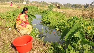 Fishing Trap || The beautiful girl caught fish using the small fish of the village canal