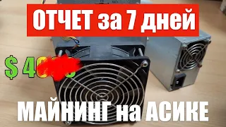 ОТЧЕТ за 7 дней МАЙНИНГА на асике L3+. Доход и окупаемость в 2021