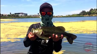 The Bassets CPT - December 2017 Bass Fishing