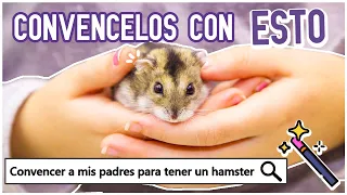 Como CONVENCER a mis PAPÁS de TENER un HAMSTER