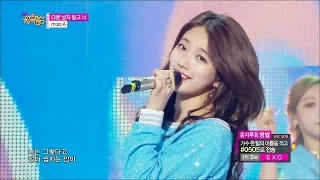 【TVPP】Miss A - Only You, 미쓰에이 - 다른 남자 말고 너 @ Show Music Core Live