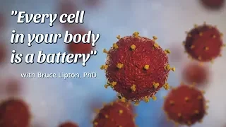 Every cell in your body is a battery, with Bruce Lipton, PhD