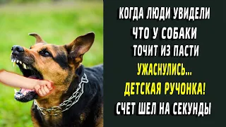 Когда увидели, ЧТО у собаки торчит из пасти, ужаснулись! Ножка малыша...