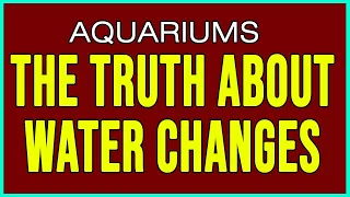 The Truth of Water Changes