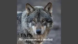 Не сравнится с тобой