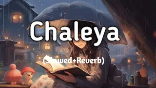 Chaleya | (Slowed+Reverb) | Arjit Singh, Shilpa Rao | Jawan | mk lofi