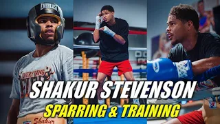 Shakur Stevenson Sparring & Training