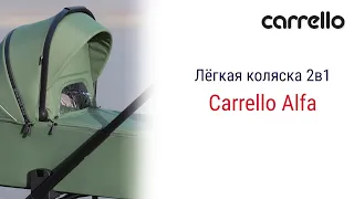 Стильная и легкая коляска Carello Alfa