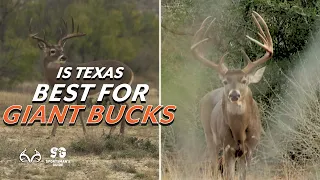 Is Texas Best for GIANT Bucks?  Monster Buck Moments Presented by Sportsman's Guide