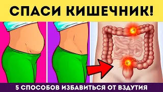 5 способов спастись от ВЗДУТИЯ ЖИВОТА • Плюс 3 упражнения