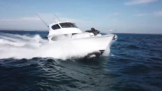 2008 Maritimo 48 FOR SALE at Oceaneer Marine