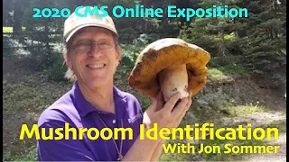 2020 CMS Expo Pt. IV: Mushroom Identification