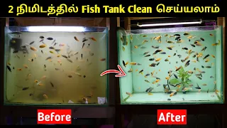 2 நிமிடத்தில் Fish Tank Clean செய்யலாம் | Easy Way To Clean Fish Tank | Cloning Aqua