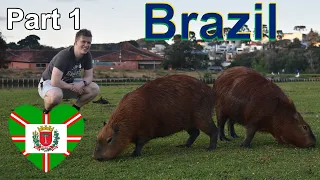 Our first time in Brazil | Settle in & Capybara's