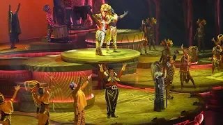 [4K] The Lion King : Rhythms of the Pride Lands - Disneyland Paris 2019