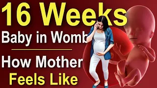 Baby Development in Womb in Week 16 of Pregnancy