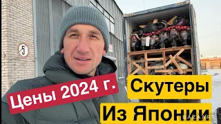 Сколько стоят скутеры! В 2024 году! контейнер из Японии! Обзор цен!