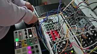 Re202 Eurorack noodle