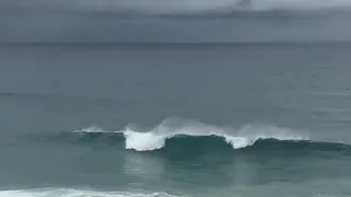 Bronte & Tama Surf Check Friday May 3rd 2024 8:45am