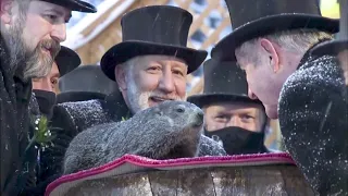 Punxsutawney Phil Predicts 6 More Weeks Of Winter