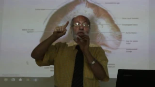 Respiratory module 17 ( Diaphragm , part 1 ) by , Dr. Wahdan